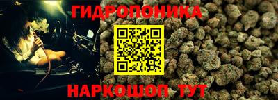 дживик Обнинск