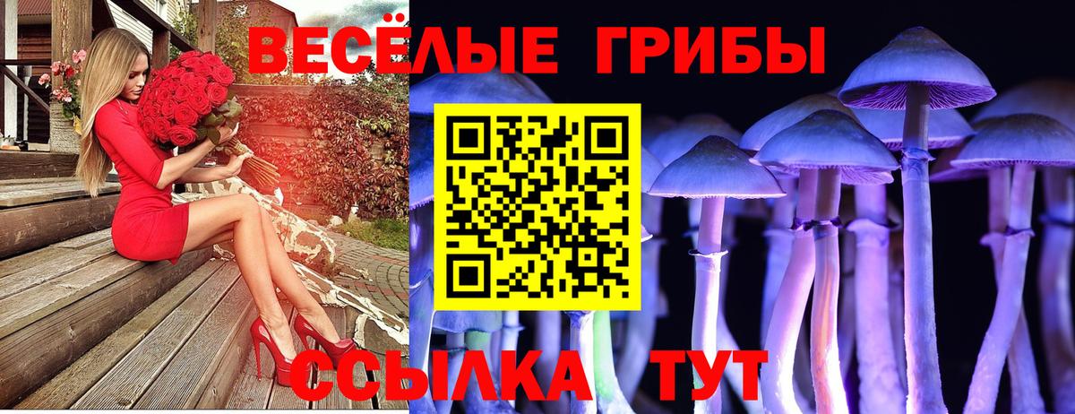 Галлюциногенные грибы Cubensis  Вход с VPN  Псилоцибиновые грибы Psilocybe  Сочи 